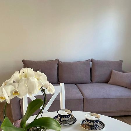 Apartament -Dwudziestka Сандомир Экстерьер фото