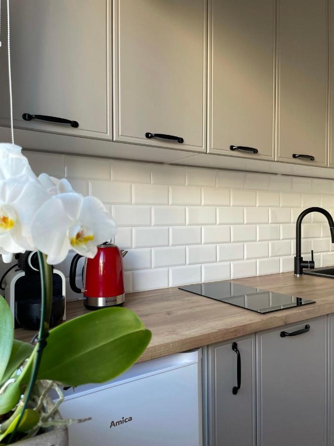 Apartament -Dwudziestka Сандомир Экстерьер фото